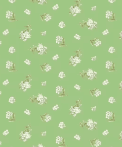 Peter Rabbit & Friends / Jasmine Fern