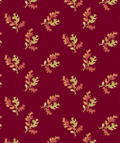 Dahlia / Cranberry Holly Berry / Edyta Sitar